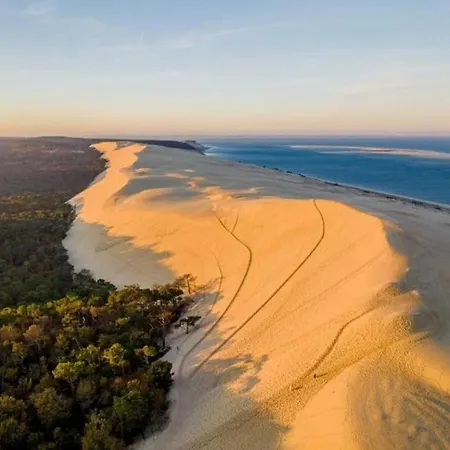 Pyla Sur Terrasse A 100m De La Apartment