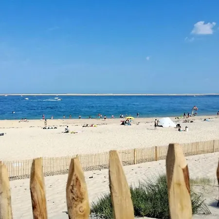 Pyla Sur Terrasse A 100m De La アパート ラ・テスト・ド・ビュシュ